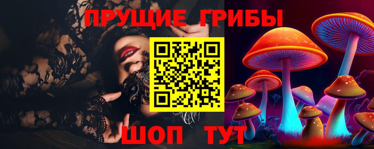 Псилоцибиновые грибы Psilocybine cubensis Трёхгорный
