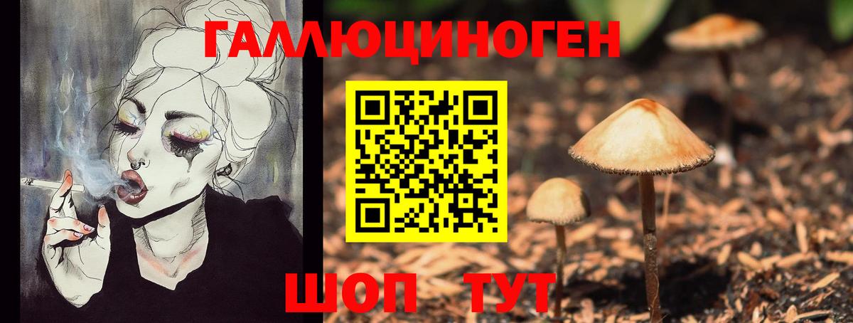 купить закладку  Галлюциногенные грибы мицелий  Вход с VPN  Трёхгорный 